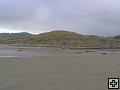 thn_Steward Island 021.jpg